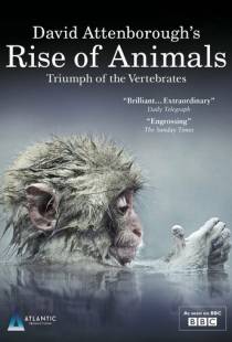 Восстание животных: Триумф позвоночных / Rise of Animals: Triumph of the Vertebrates (2013)