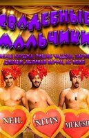 Свадебные мальчики / Shaadi Boys (2016)