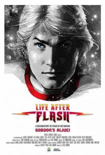 Жизнь после Флэша / Life After Flash (2017)