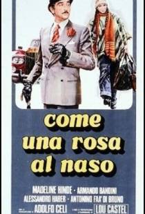 Как роза у носа / Come una rosa al naso (1976)