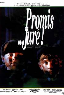 Клянусь… господин судья! / Promis... jur! (1987)