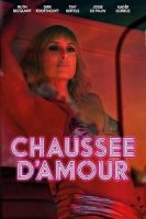 Кошечки Сильвии / Chausse d'Amour (2016)