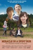 Чудо в Колючем Бору: Каштановая Семья из Касамы / Miracle in a Spiny Bur: The Chestnut Family of Kasama (2018)