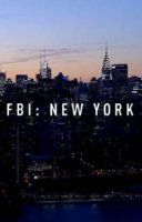 Внутри ФБР: Нью-Йорк / Inside the FBI: New York (2017)