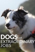 Удивительные профессии собак / Dogs with Extraordinary Jobs (2019)