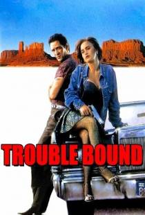 Впереди одни неприятности / Trouble Bound (1992)