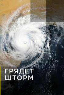 Грядет шторм / Gathering Storm (2020)