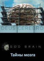 Тайны мозга / Deus Cerebro (2021)