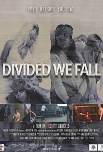 Вместе мы сила / Divided We Fall (2021)