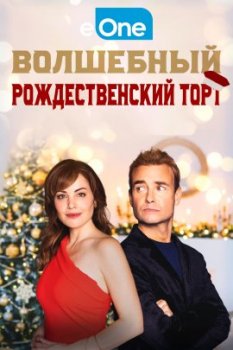 Волшебный рождественский торт / The Enchanted Christmas Cake (2021)