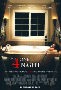 Только на одну ночь / Only for One Night (2016)