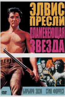 Пламенеющая звезда / Flaming Star (1960)