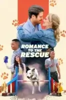 Романтика на помощь / Дрессировка любви / Romance to the Rescue (2022)