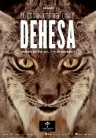 Дехеса: Лес пиренейской рыси / Dehesa, el bosque del lince ibérico (2020)