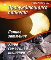 Пробуждающаяся планета / Sunrise Earth (2004)