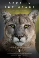 Глубоко в сердце: История дикой природы Техаса / Deep in the Heart: A Texas Wildlife Story (2022)