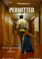 В рамках дозволенного / Permitted (2021)