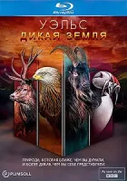 Уэльс: дикая земля / Wales: Land of the Wild (2019)