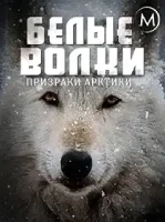 Белые волки: призраки Арктики / White Wolves: Ghosts of the Arctic (2017)