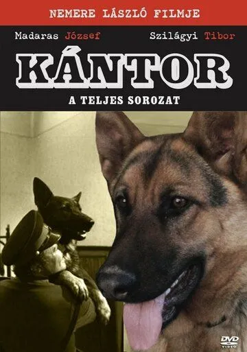 Кантор / Kántor (1976)