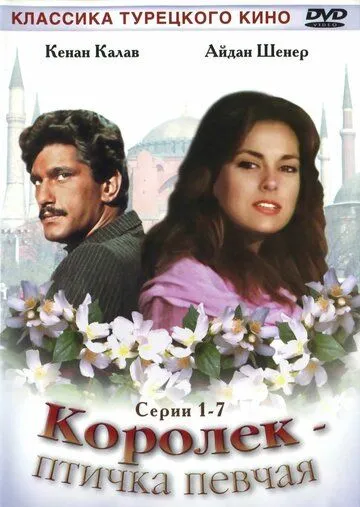 Королёк - птичка певчая / Çalikusu (1986)