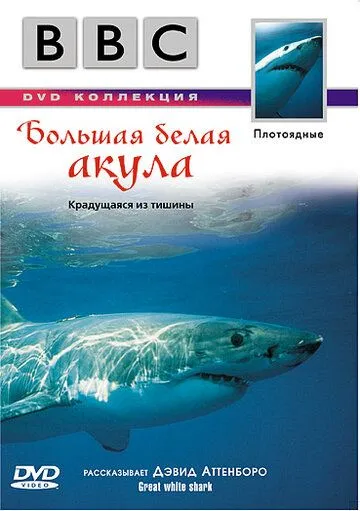 BBC: Большая белая акула / Great White Shark (1995)